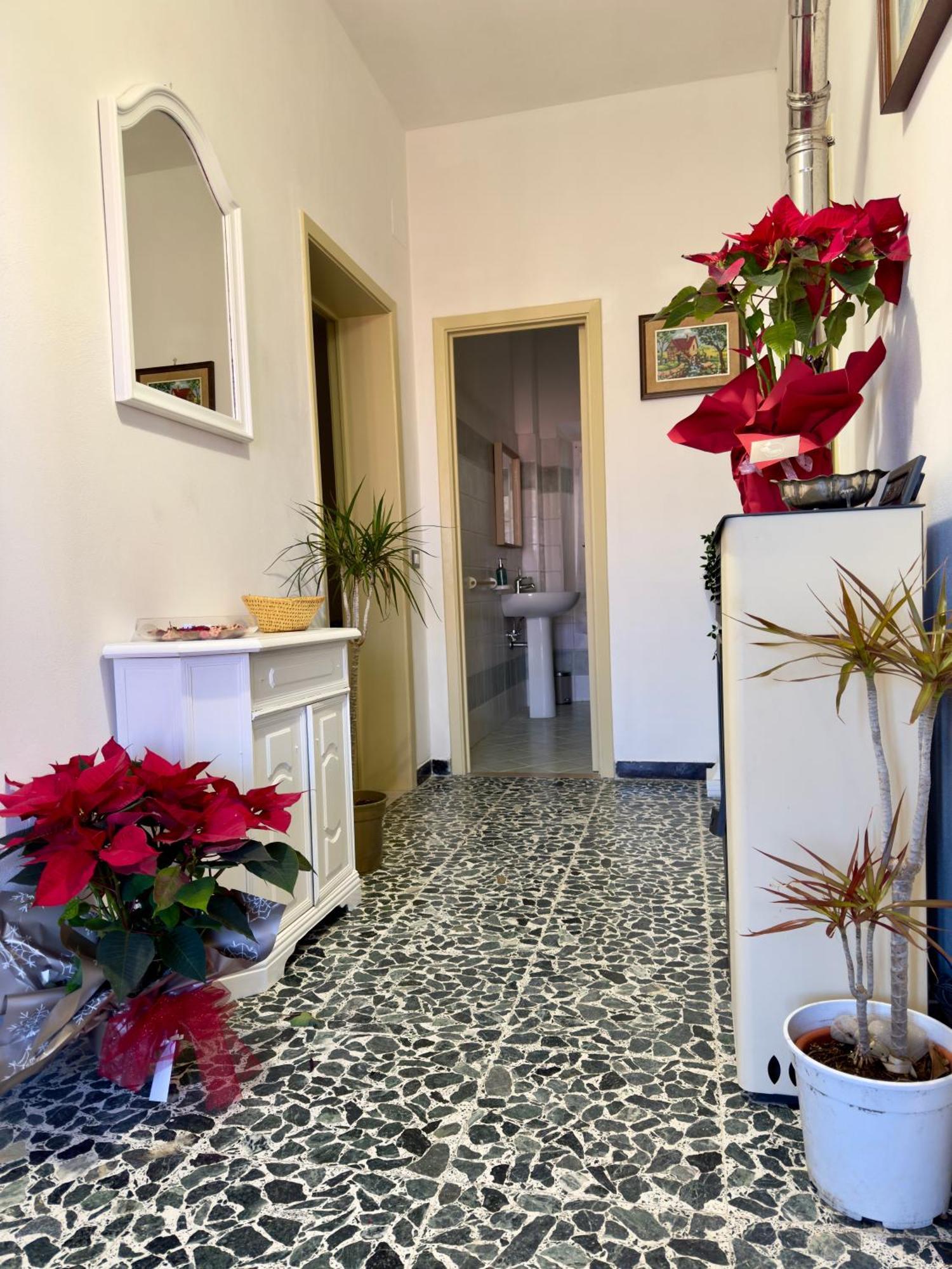 Agriturismo La Ghiraia 圣塔·卢斯 外观 照片