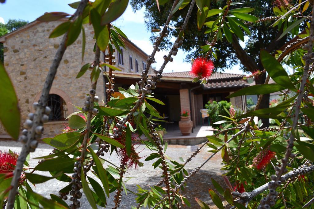 Agriturismo La Ghiraia 圣塔·卢斯 客房 照片