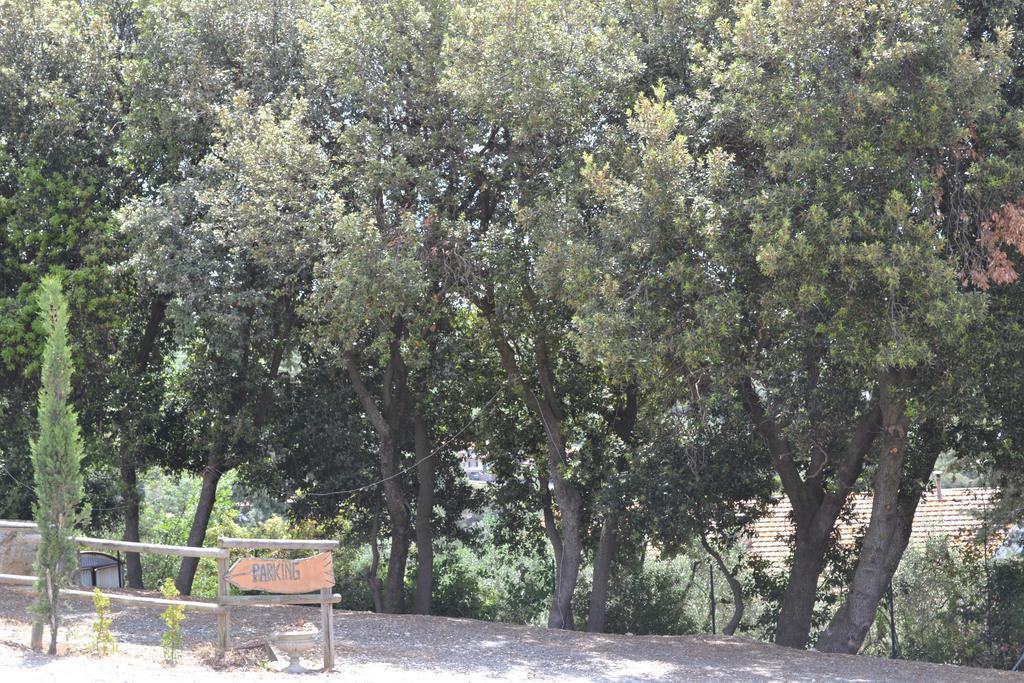 Agriturismo La Ghiraia 圣塔·卢斯 外观 照片