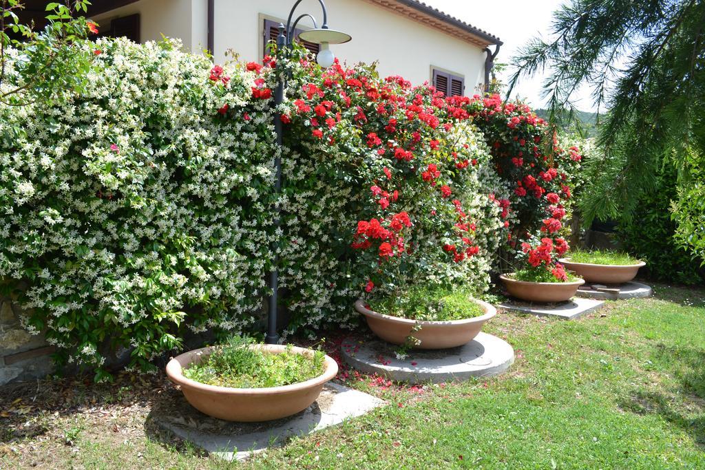 Agriturismo La Ghiraia 圣塔·卢斯 外观 照片