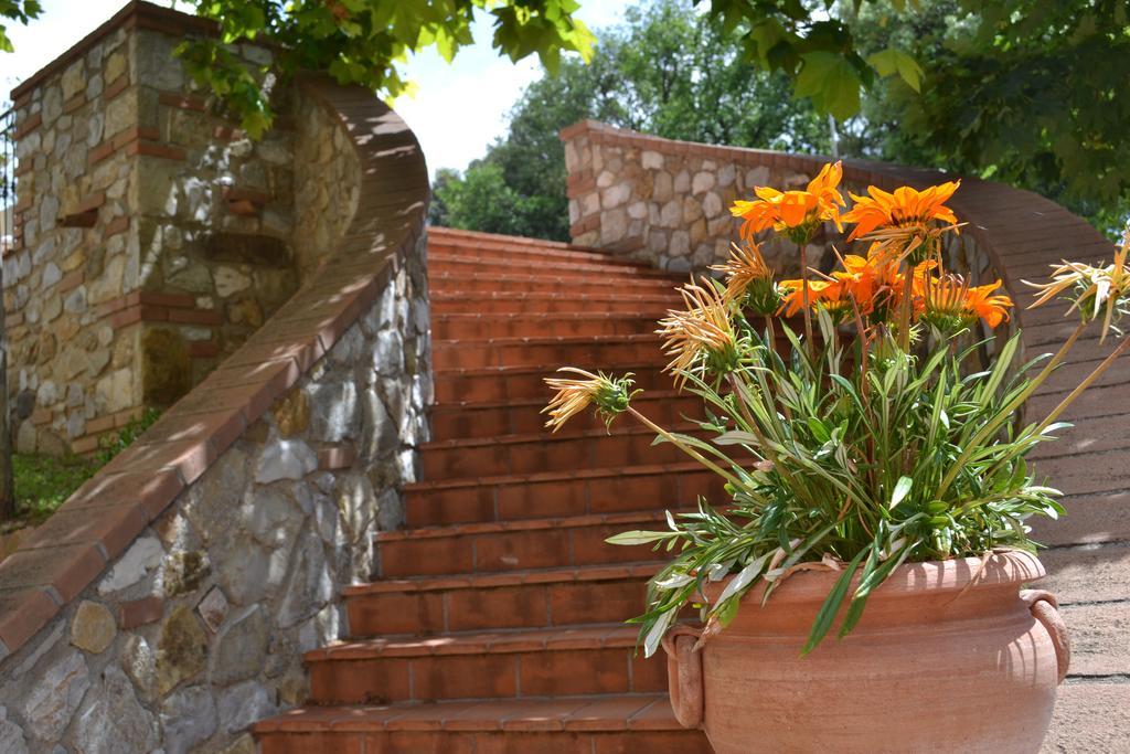 Agriturismo La Ghiraia 圣塔·卢斯 外观 照片